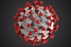 Coronavirus och cancer