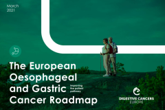 Broschyr från Digestive Cancer Europe