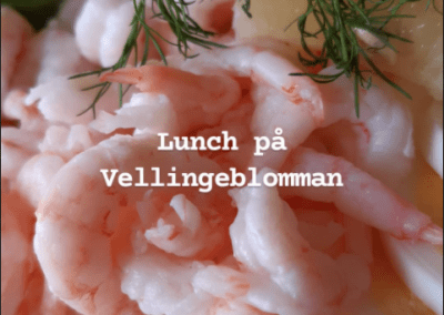 Lunch på Vellingeblomman