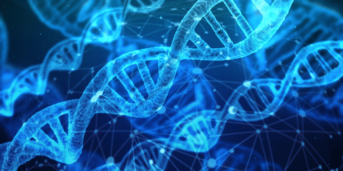 DNA sekvens