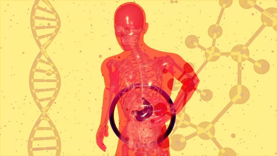 Ny cancerbehandling – sköljer levern med cellgifter: "Stort steg framåt"