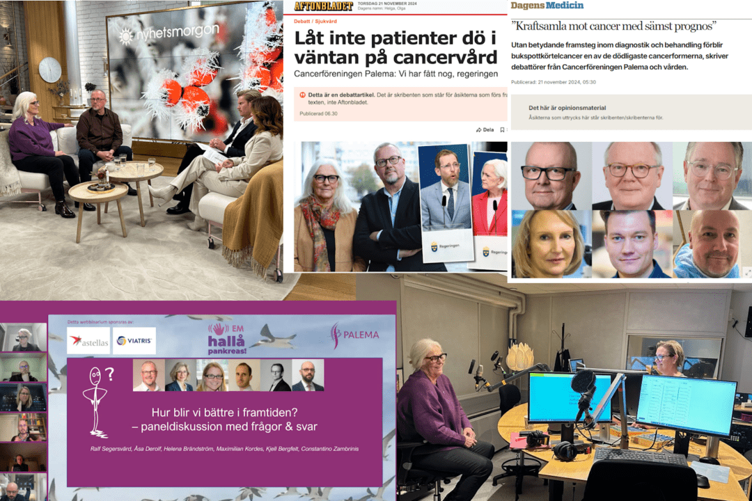 PALEMA i media under Världspankreascancerdagen 2024